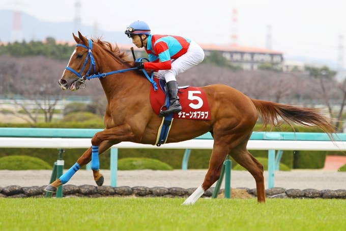 2022ドバイゴールデンシャヒーン | JRA-VAN ver.World