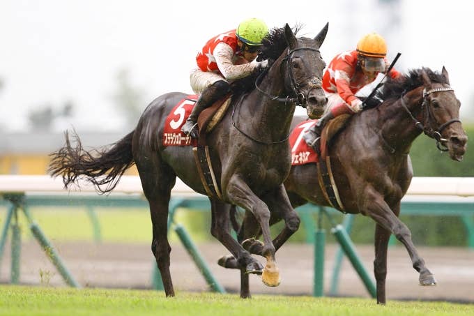 ステラヴェローチェ | 注目馬 | 2022ドバイシーマクラシック | JRA-VAN