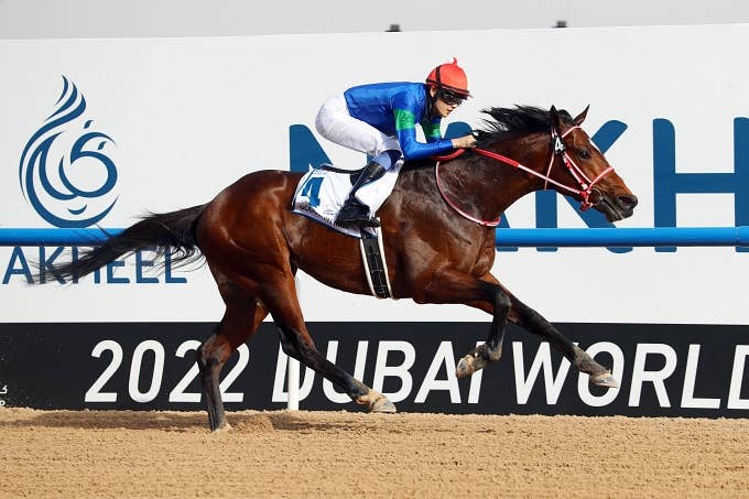 注目馬 | 2023ゴドルフィンマイル | JRA-VAN World - 海外競馬情報サイト