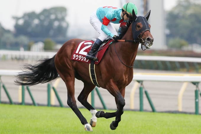 注目馬 | 2023ゴドルフィンマイル | JRA-VAN World - 海外競馬情報サイト