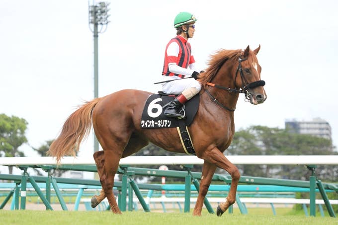 注目馬 | 2023ゴドルフィンマイル | JRA-VAN World - 海外競馬情報サイト