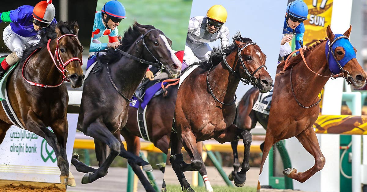 レモンポップ | 注目馬 | 2023ドバイゴールデンシャヒーン | JRA