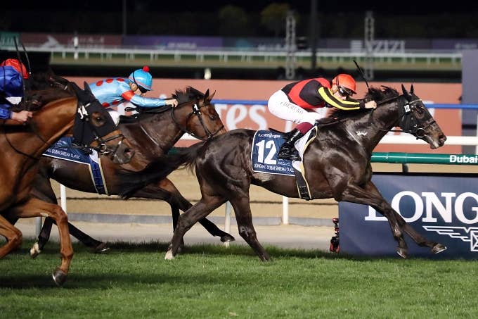 イクイノックス | 注目馬 | 2023ドバイシーマクラシック | JRA