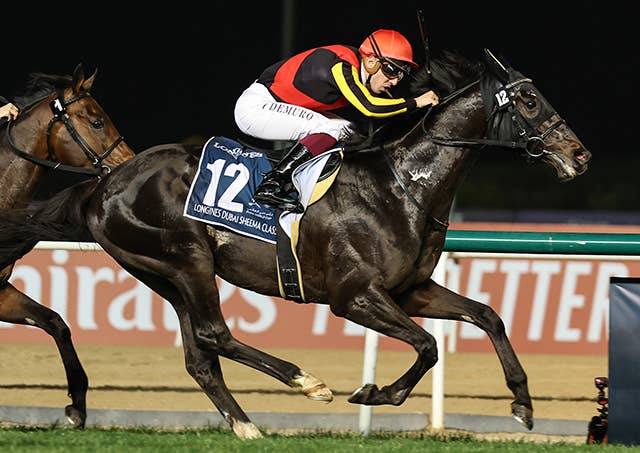 見どころ | 2023ドバイシーマクラシック | JRA-VAN World - 海外 見どころ | 2023ドバイシーマクラシック | JRA-VAN World - 海外