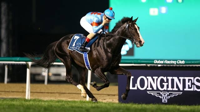 概要・過去成績 | 2024ドバイシーマクラシック | JRA-VAN World - 海外