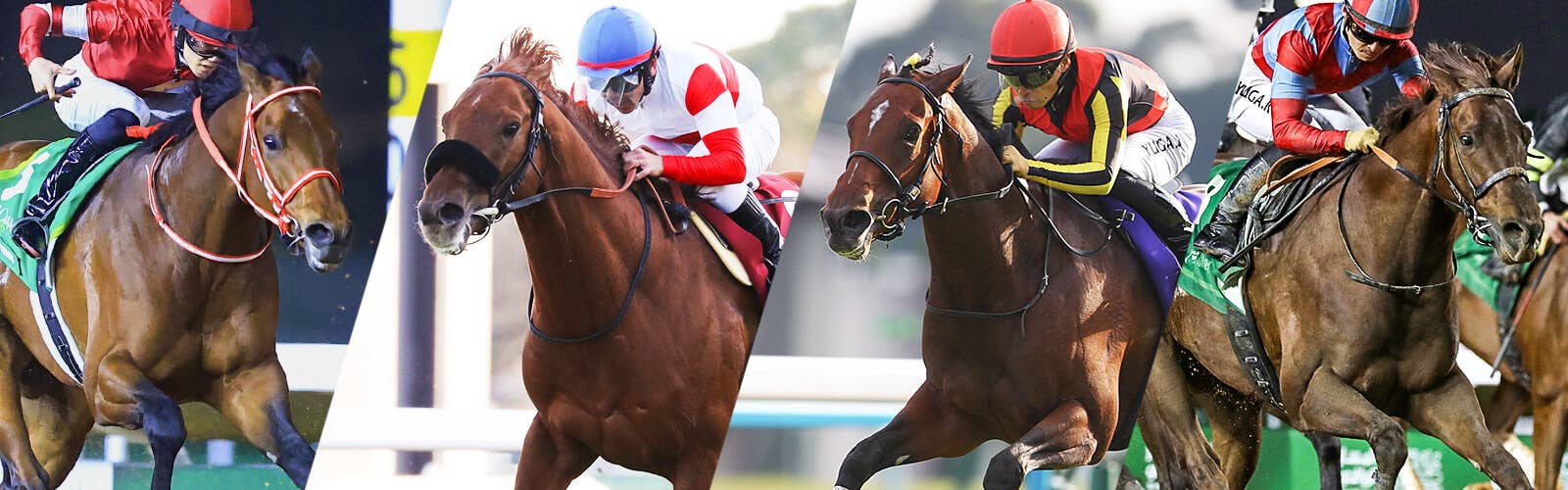2025ドバイワールドカップデー | JRA-VAN World - 海外競馬情報