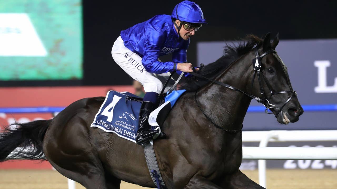 レース概要・過去結果 | 2025ドバイシーマクラシック | JRA-VAN World