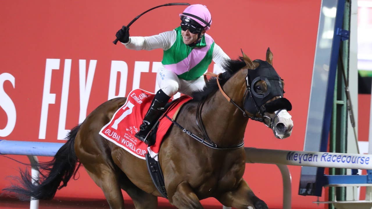 プレミア品競馬ドバイWORLD CUP2019年　出場記念品 プレミア品競馬ドバイWORLD CUP2019年 出場記念品