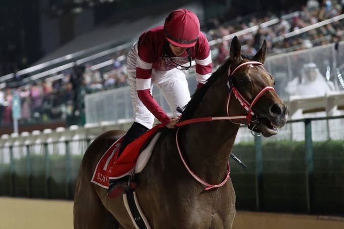 超貴重#ドバイワールドカップ#競馬#サウジアラビア#競争馬#世界一 超