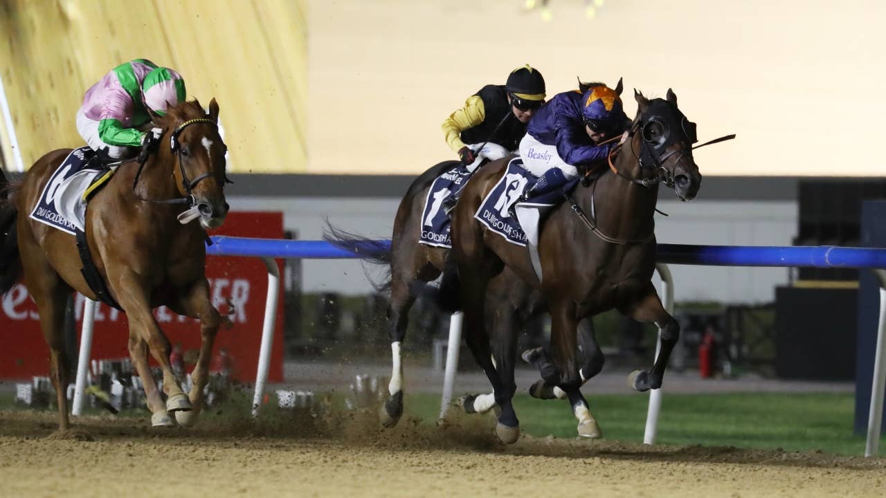 レース概要・過去結果 | 2026ドバイゴールデンシャヒーン | JRA-VAN