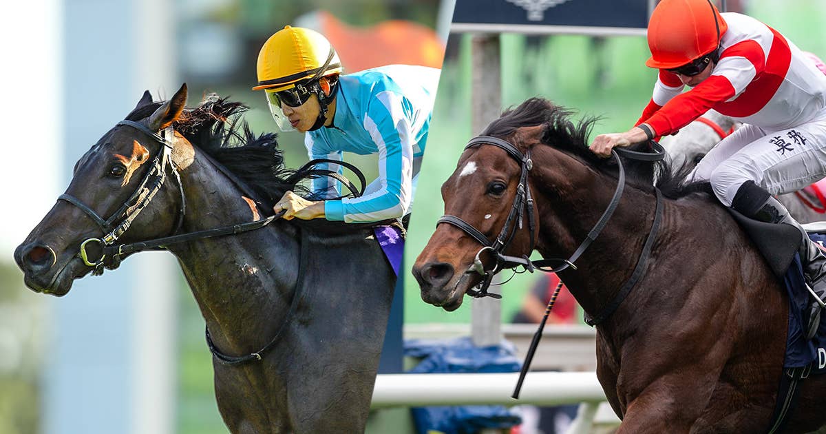 競馬 アイルランドダービー馬トレジャービーチのクイーンエリザベス ...