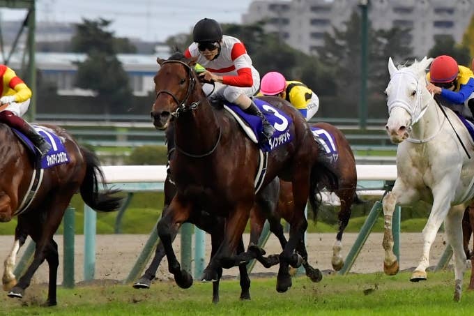 見どころ | 2023クイーンエリザベス2世カップ | JRA-VAN World - 海外
