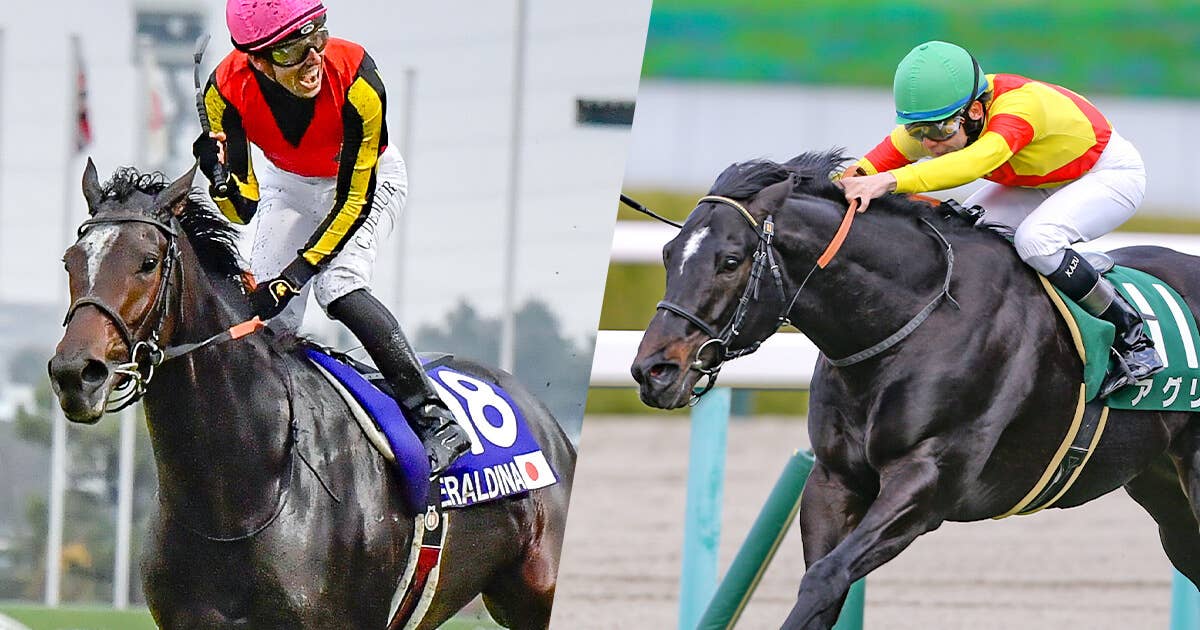 出馬表 | 2023クイーンエリザベス2世カップ | JRA-VAN World - 海外