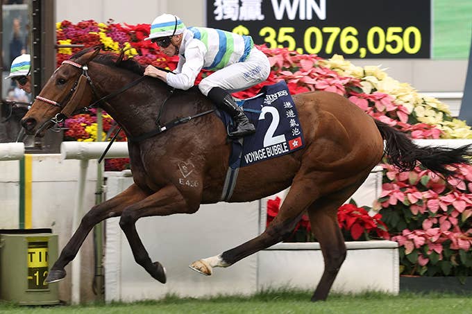 見どころ | 2025香港チャンピオンズマイル | JRA-VAN World - 海外競馬