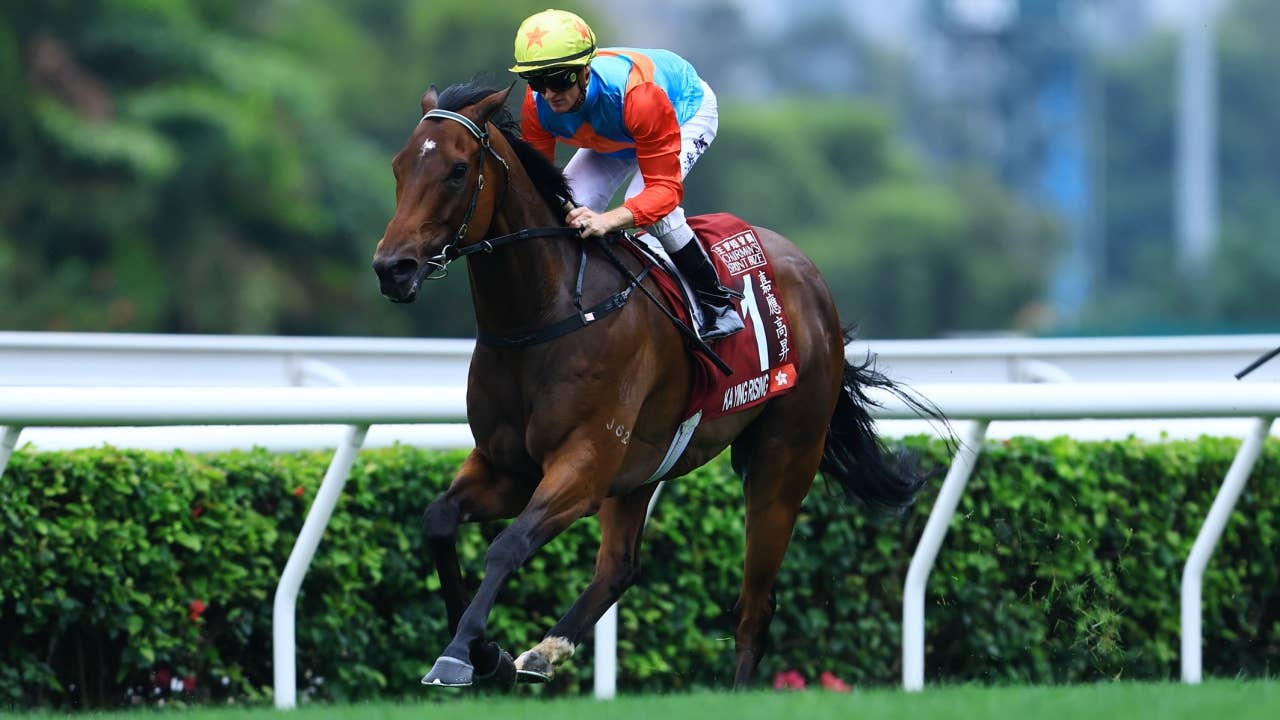 レース概要・過去結果 | 2026チェアマンズスプリントプライズ | JRA