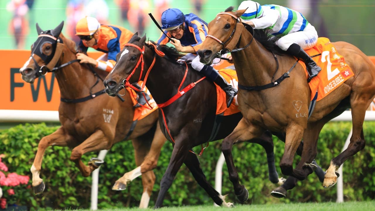 レース概要・過去結果 | 2026チャンピオンズマイル | JRA-VAN World