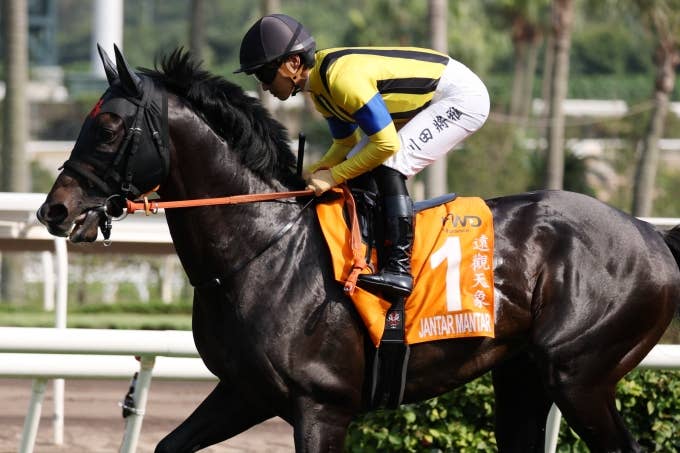 コメント | 2026チャンピオンズマイル | JRA-VAN World - 海外競馬情報