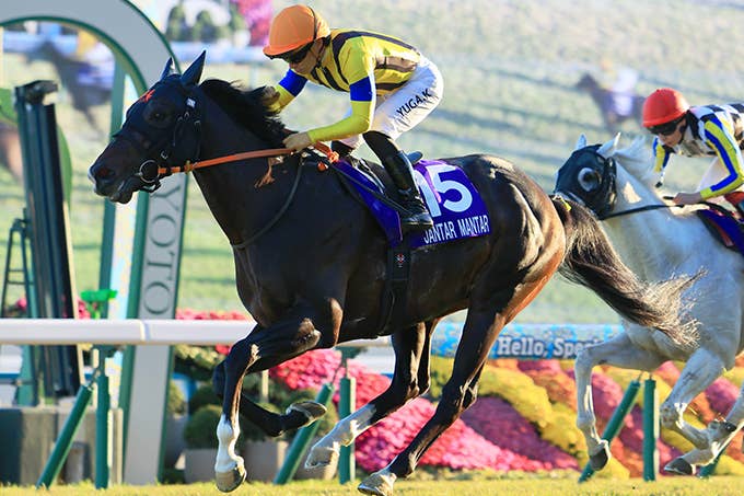 見どころ | 2026チャンピオンズマイル | JRA-VAN World - 海外競馬情報