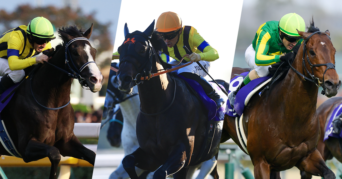 2026チャンピオンズマイル | JRA-VAN World - 海外競馬情報サイト