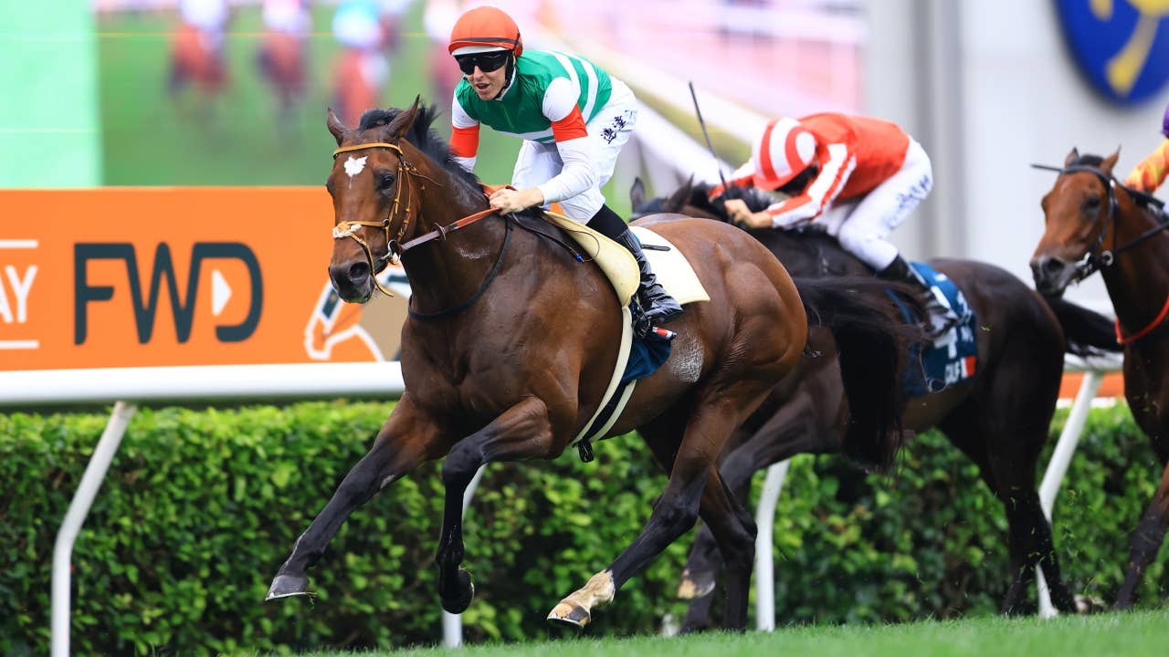 競馬 ダンビュライト クイーンエリザベス２世カップ実使用ゼッケン レース概要・過去結果 | 2026クイーンエリザベス2世カップ | JRA-VAN