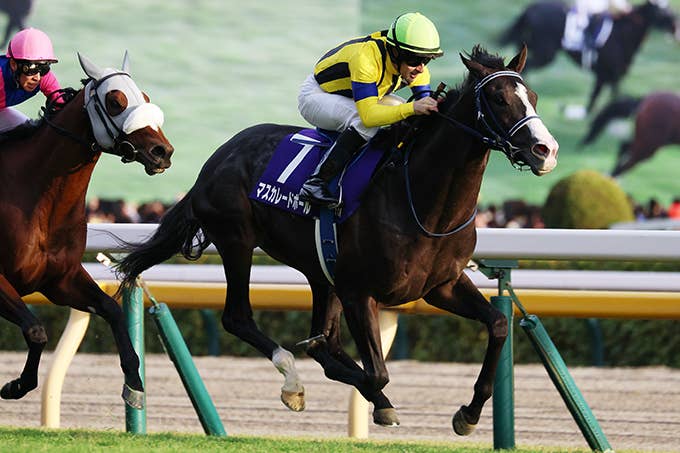 見どころ | 2026クイーンエリザベス2世カップ | JRA-VAN World - 海外