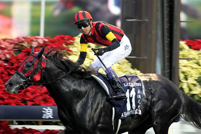 日本馬の歴史