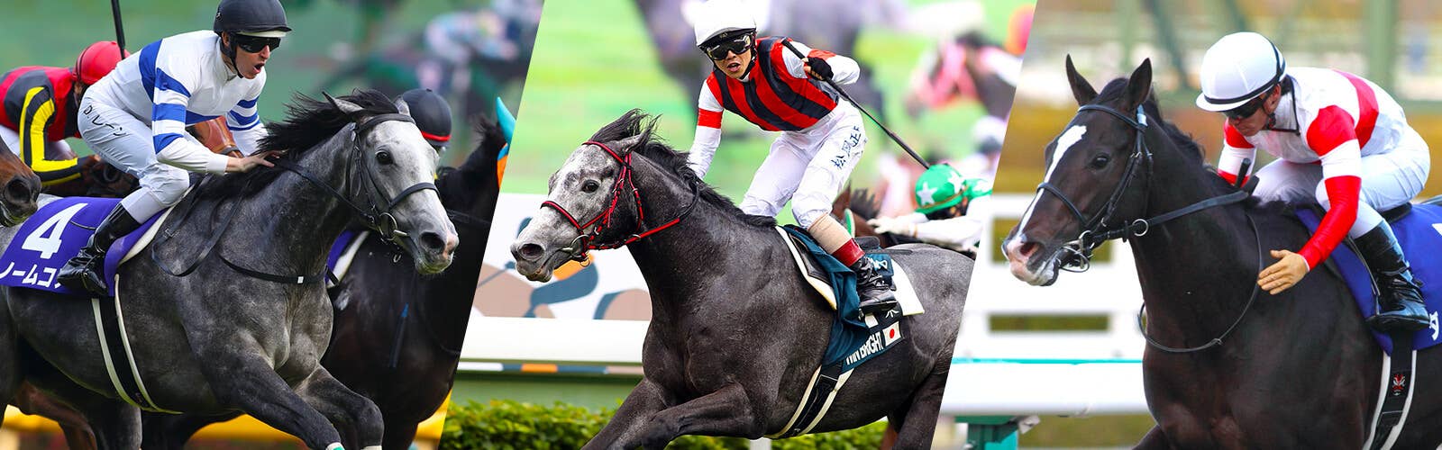 ウインブライト | 注目馬 | 2020香港カップ | JRA-VAN ver.World