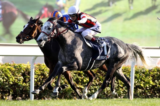 日本馬の歴史 | 2021香港カップ | JRA-VAN ver.World