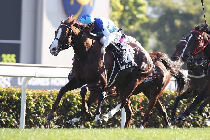 日本馬の歴史 | 2021香港マイル | JRA-VAN ver.World