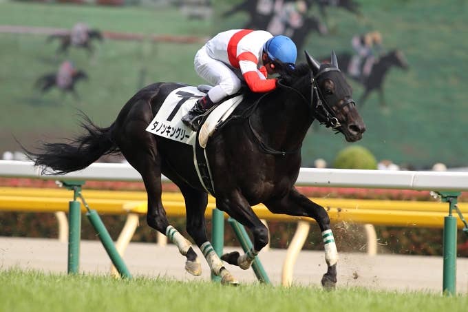 ダノンキングリー | 注目馬 | 2021香港マイル | JRA-VAN ver.World