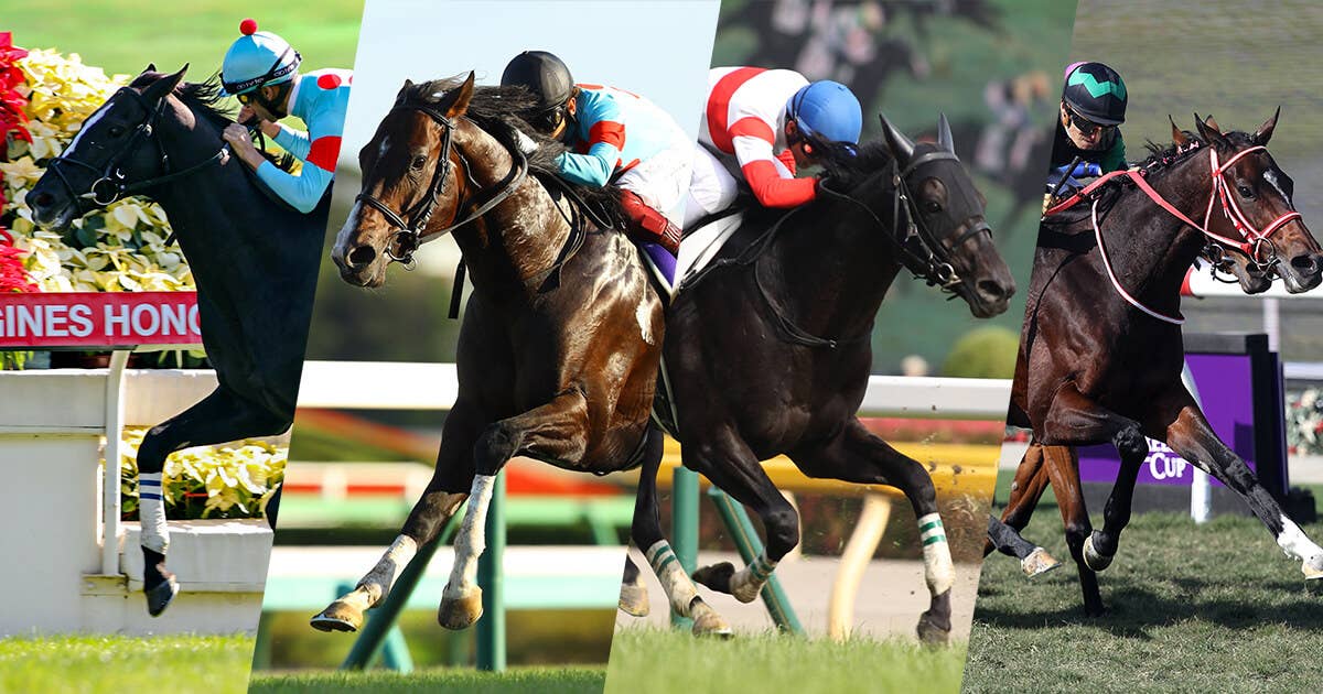 2021香港国際競走 | JRA-VAN ver.World