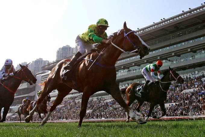 香港プログラム2007年騎手招待＆香港国際競走（サイン入り）、騎手カード＆ガイド 香港馬王はカーインライジング！（📻あり）｜稲庭うどん