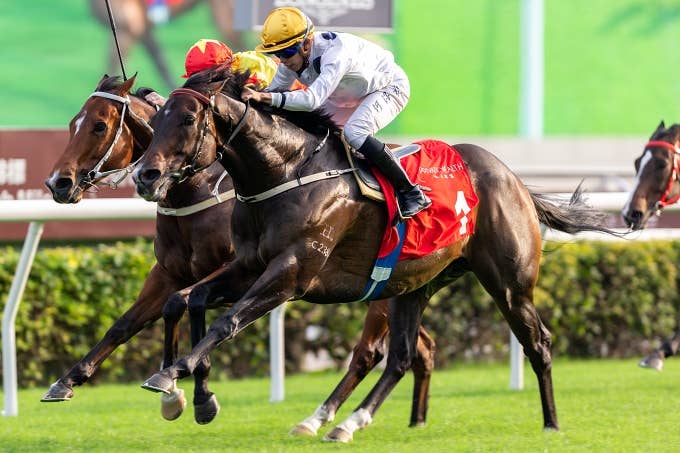 ゴールデンシックスティ | 注目馬 | 2022香港マイル | JRA-VAN ver.World