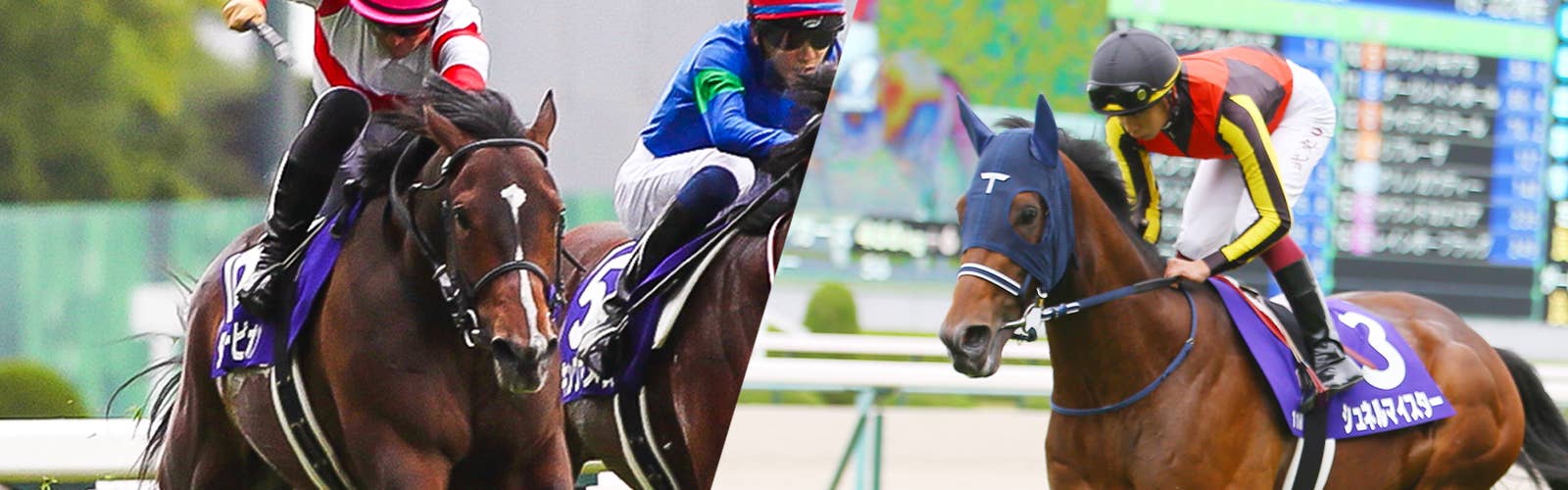 2019年開催 香港国際競馬 日本馬記念馬券-