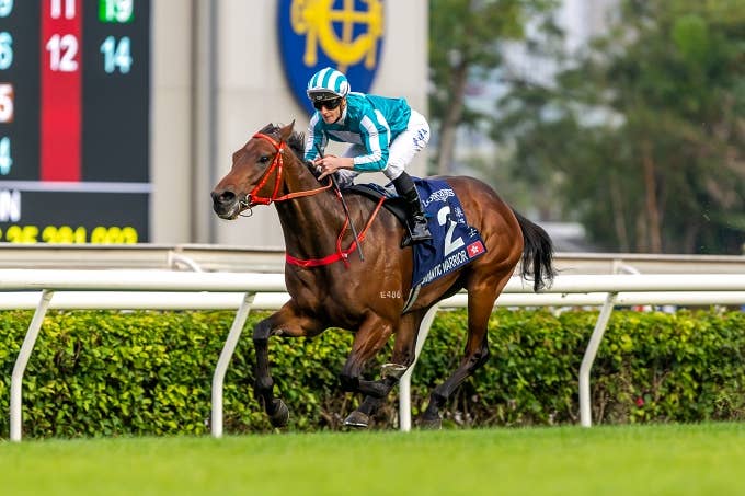 沿革 | 2023香港カップ | JRA-VAN World - 海外競馬情報サイト
