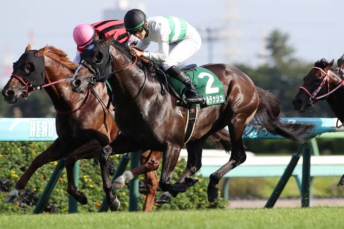 ソウルラッシュ | 注目馬 | 2023香港マイル | JRA-VAN World - 海外