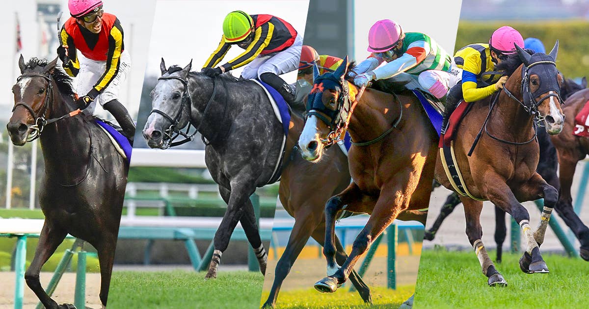 ナミュール | 注目馬 | 2023香港マイル | JRA-VAN World - 海外競馬