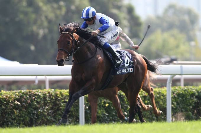 ロードカナロア 香港スプリント勝利記念 ブルゾン 厩舎 ジャンパー 競馬 ロードカナロア 香港スプリント勝利記念 ブルゾン 厩舎