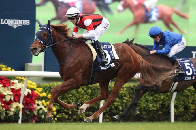 日本馬の歴史 | 2023香港ヴァーズ | JRA-VAN World - 海外競馬情報サイト