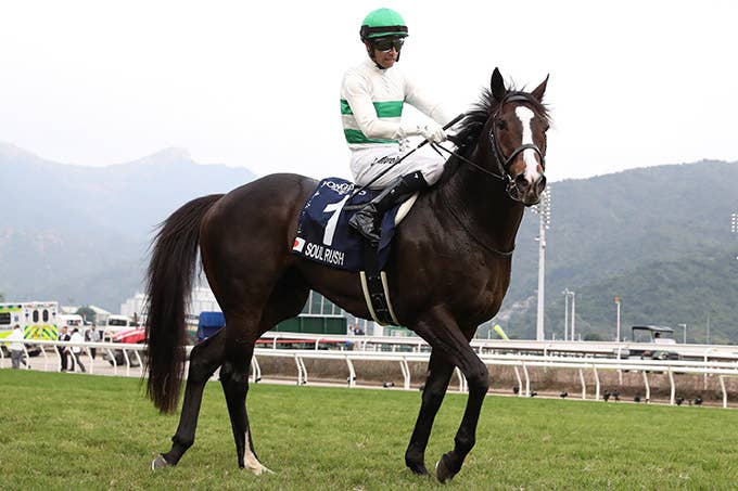 コメント | 2024香港マイル | JRA-VAN World - 海外競馬情報サイト