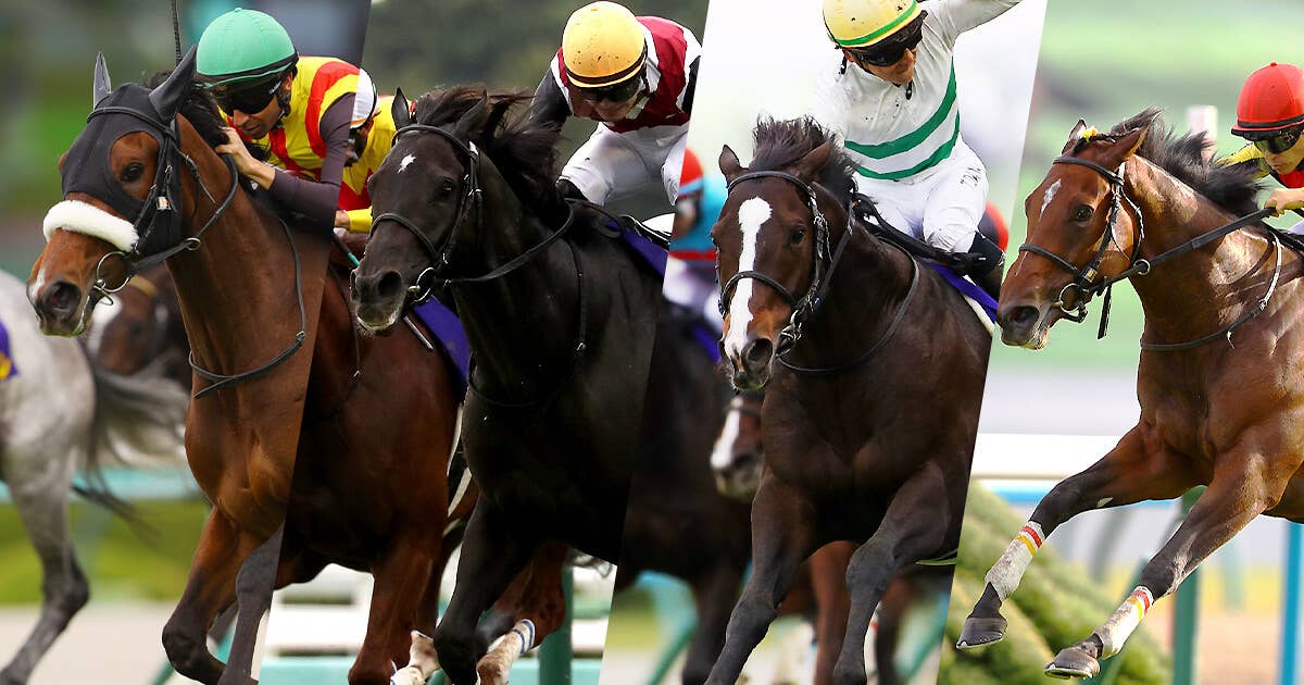 2024香港国際競走 | JRA-VAN World - 海外競馬情報サイト