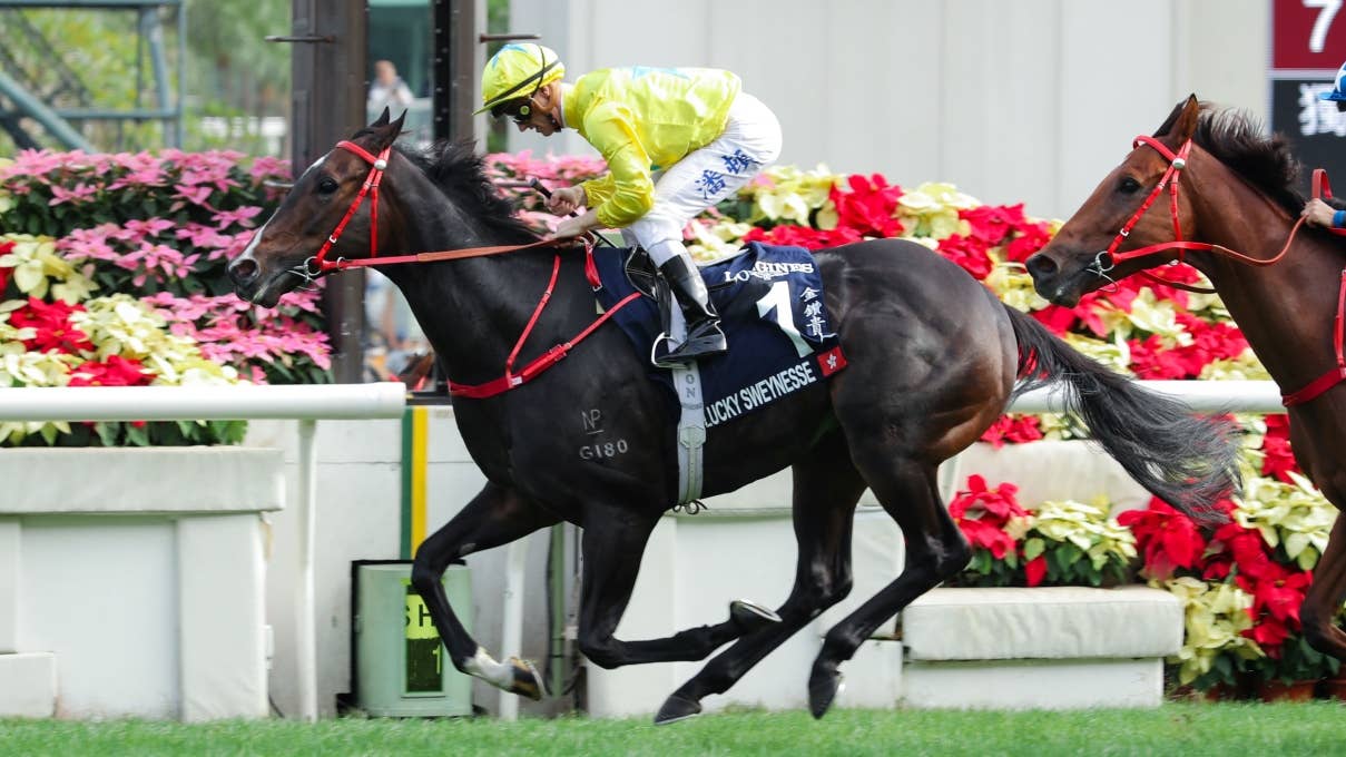 レース概要・過去結果 | 2024香港スプリント | JRA-VAN World - 海外