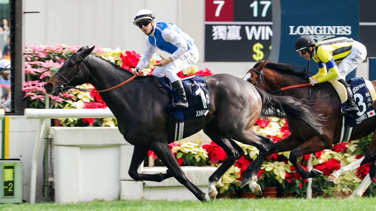レース概要・過去結果 | 2024香港ヴァーズ | JRA-VAN World