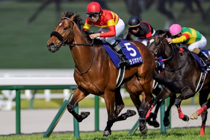 見どころ | 2025香港カップ | JRA-VAN World - 海外競馬情報サイト