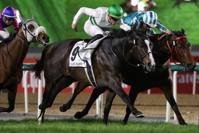 見どころ | 2025香港マイル | JRA-VAN World - 海外競馬情報サイト