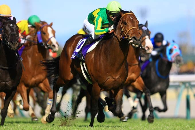 見どころ | 2025香港スプリント | JRA-VAN World - 海外競馬情報サイト