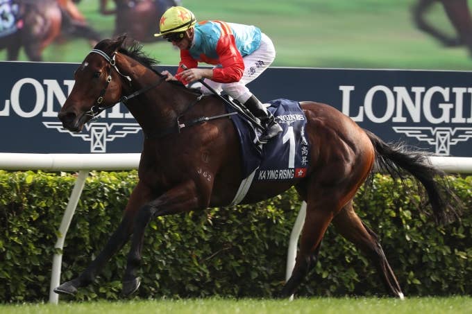 競馬 レシステンシア 2022年香港スプリント実使用ゼッケン 競馬 レシステンシア 2022年香港スプリント実使用ゼッケン