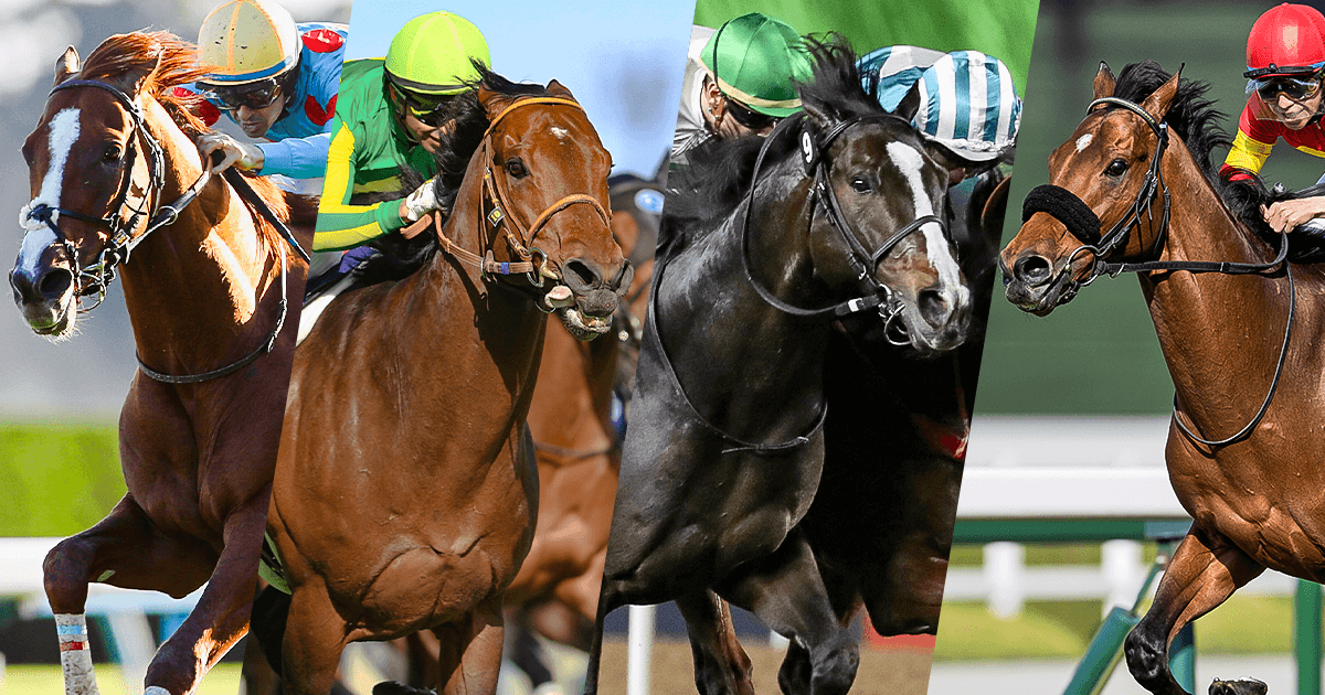 出走馬情報 | 2025香港スプリント | JRA-VAN World - 海外競馬情報サイト