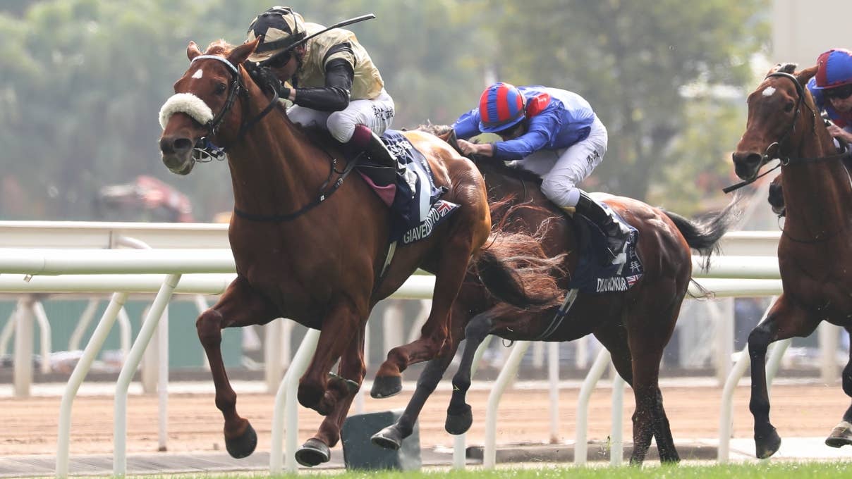 レース概要・過去結果 | 2025香港ヴァーズ | JRA-VAN World - 海外競馬