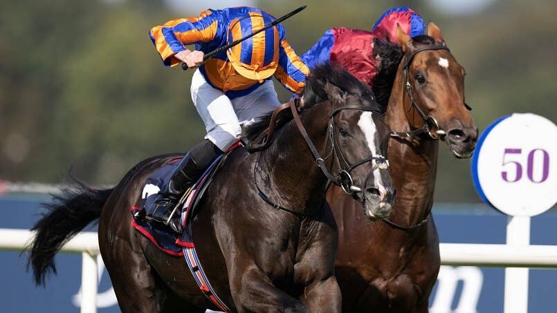 レース概要・過去結果 | 2024アイリッシュチャンピオンステークス